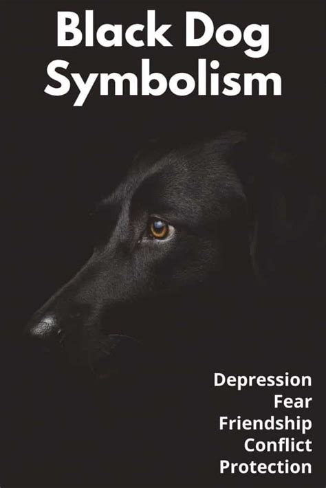 The Symbolism of a Vicious Black Dog in a Dream